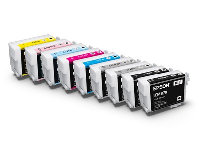 Epson Tinte T7601 photo black